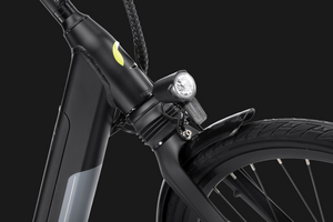 Argento Omega Electric Bike