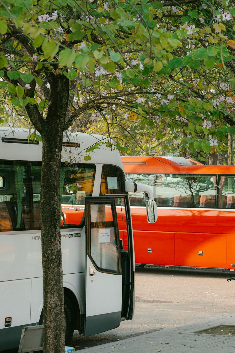 Are Electric Scooters Allowed on Buses? EDash Mobility
