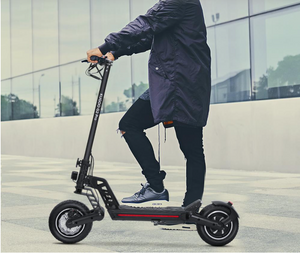 Kugoo G Booster Electric Scooter